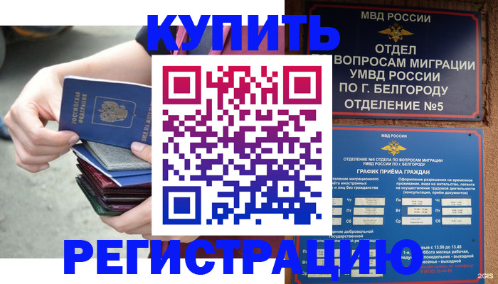 найти адрес прописки в Белгороде